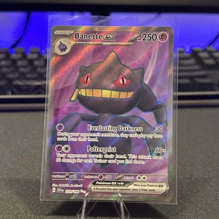 Banette EX #229 Full Art