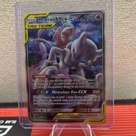 2019 Mewtwo & Mew GX Promo #SM191
