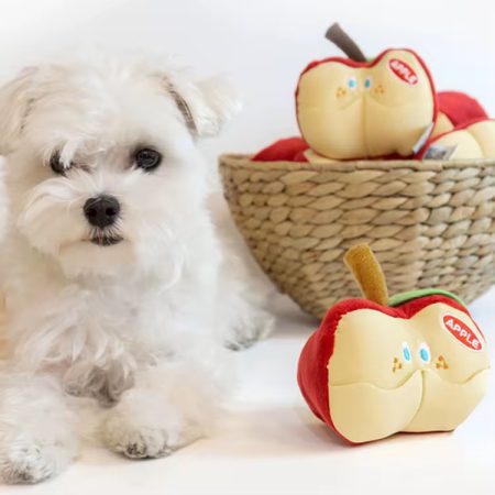 Apple Treat Puzzle Toy