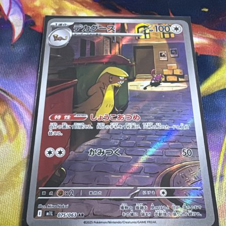 075/063 AR