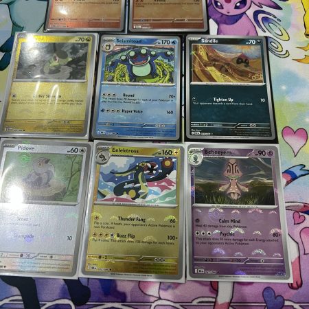 Black bolt Pokeball bundle