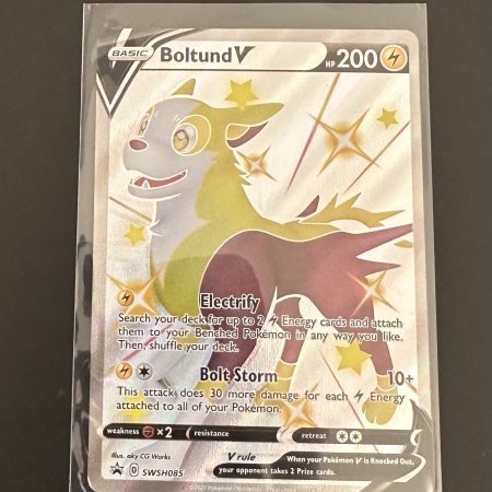 Boltund v promo