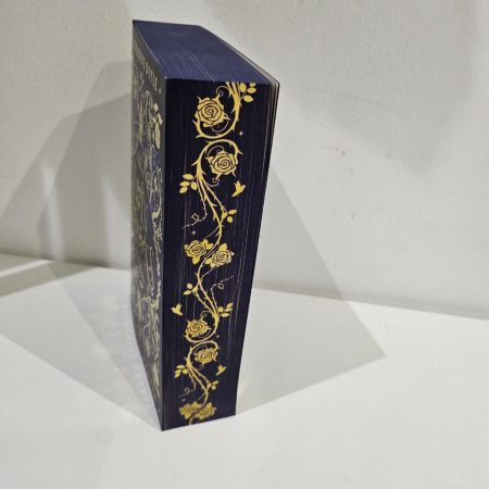 FairyLoot Exclusive Twin Crowns by Catherine Doyle & Katherine Webber Paperback