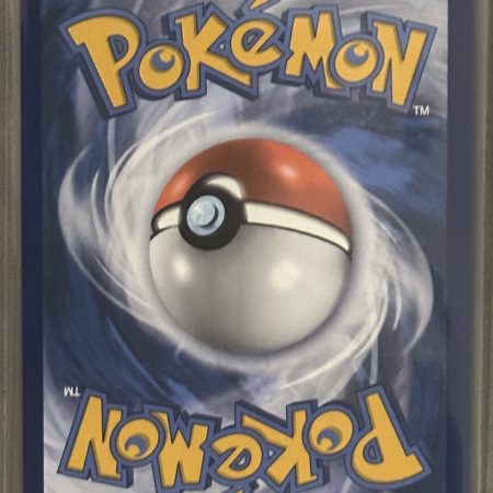 Blaziken VMAX 201/198 Chilling Reign Alternate Art Secret Rare