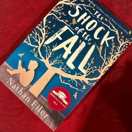 The shock of the fall - Nathan filer
