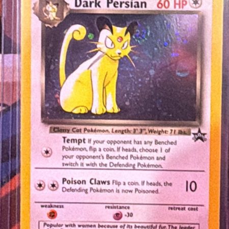 Dark Persian Promo