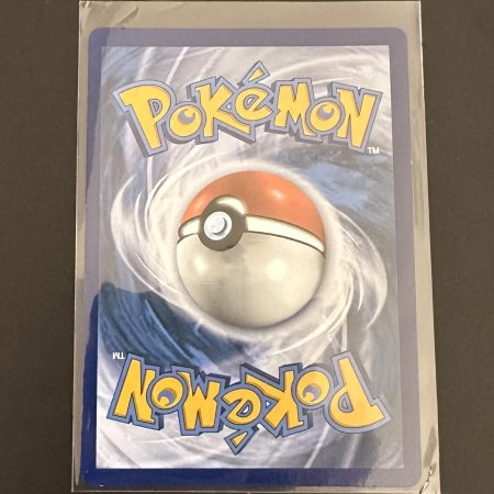 Boltund v promo