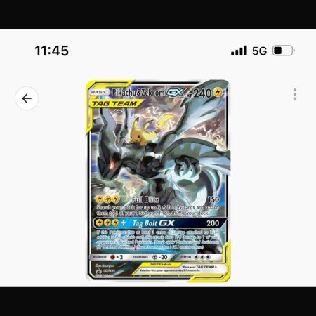 Pikachu and zekrom tagteam