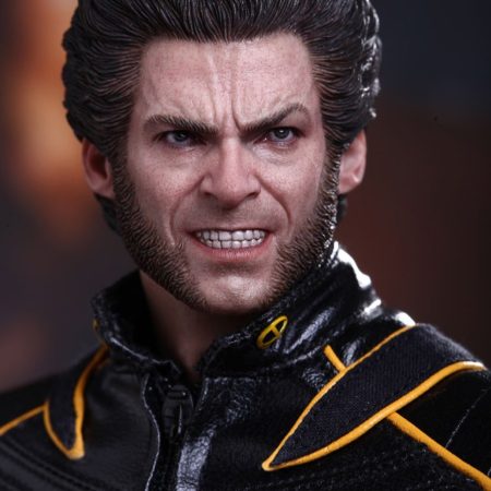 Hot Toys X-Men : The Last Stand Wolverine 1/6th scale limited edition collectible figure