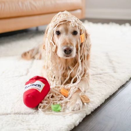 Ramen treat toy