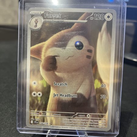 Furret