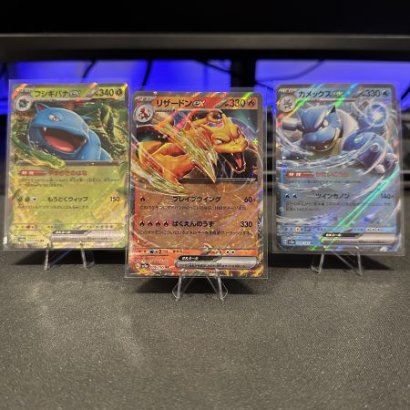 Starter Pokemon EX Japanese Bundle