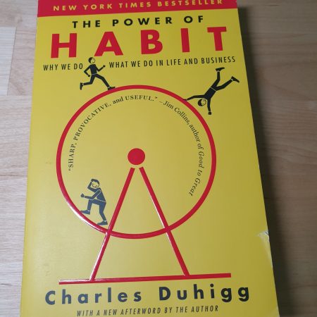 The Power of Habit: Why We Do What We Do in Life and Business by Charles Duhigg (Paperback)
