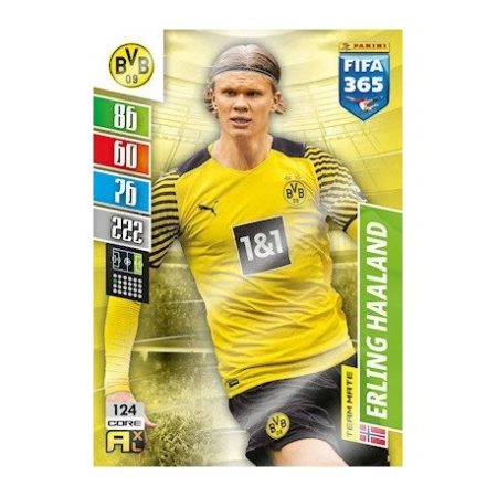 Erling Haaland Borussia Dortmund 124