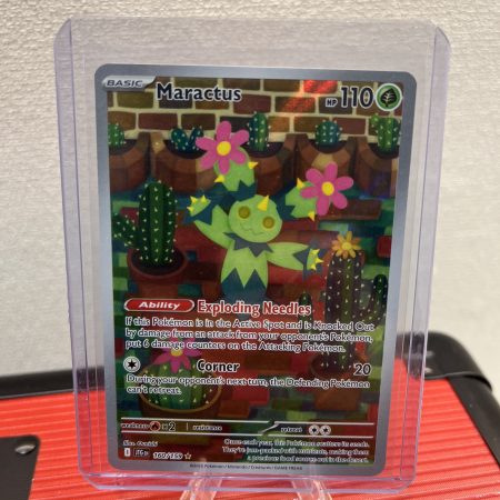 Maractus