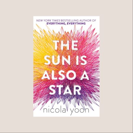 The Sun Is Also a Star (novel)