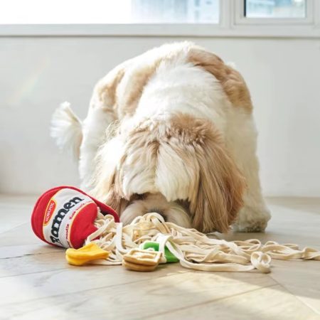 Ramen treat toy