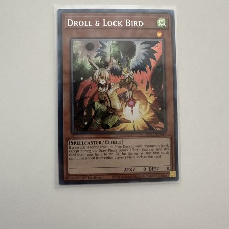 Droll & Lock Bird