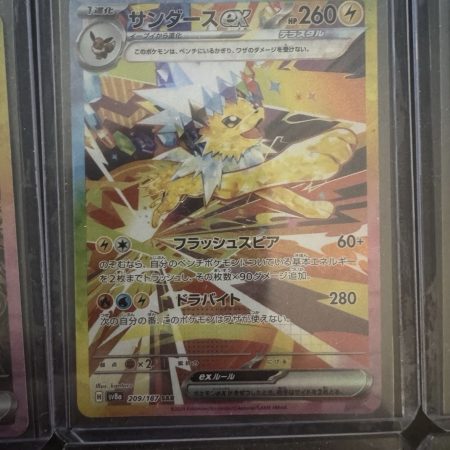 Japanese Terastal Festival GODPACK