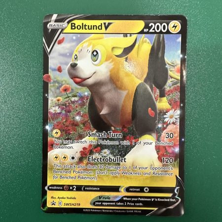 Boltund v promo