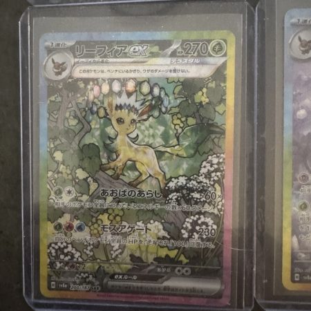 Japanese Terastal Festival GODPACK