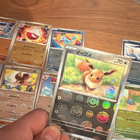 Poke Ball reverse holo bundle