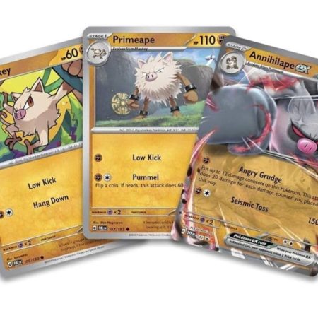 Pokémon TCG: Annihilape ex Box