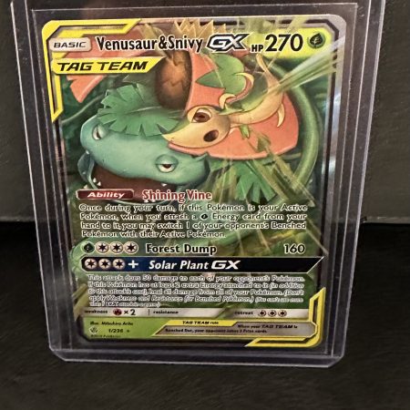 Venusaur Snivy