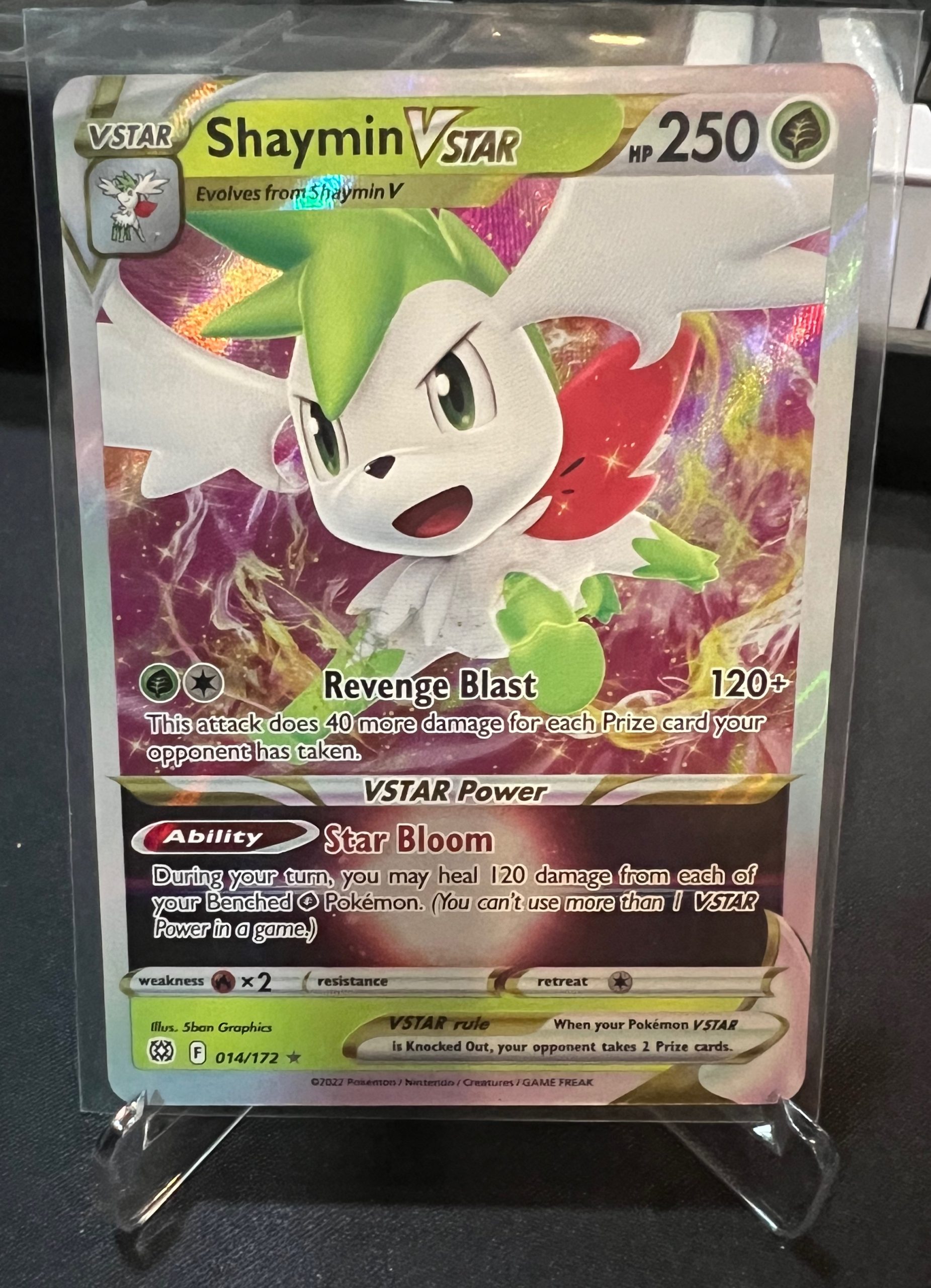 Shaymin V - Vendito