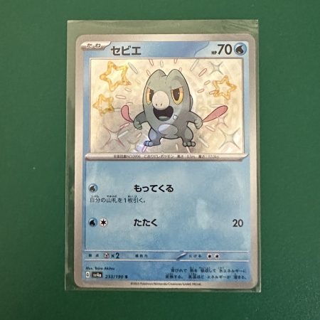 Frigibax japanese