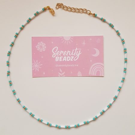 Dainty necklace bundle