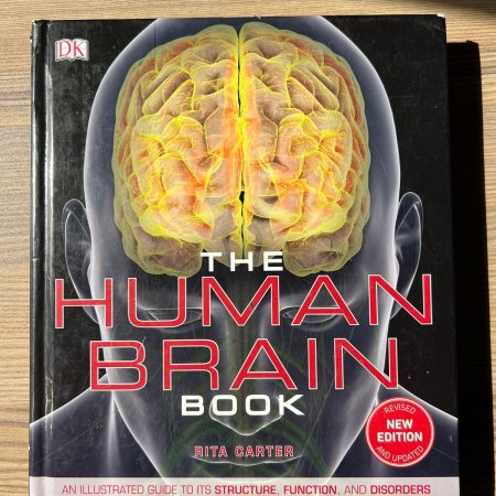 The human brain book dk