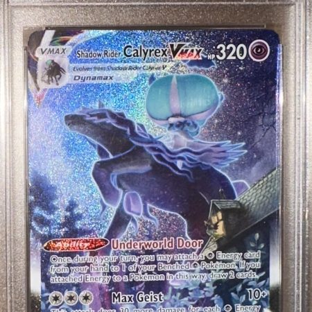 Shadow Rider Calyrex VMAX 205/198 Chilling Reign Alt Art PSA 10 Gem Mint