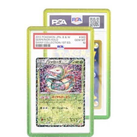 Graded Guard limited edition Python(PSA)
