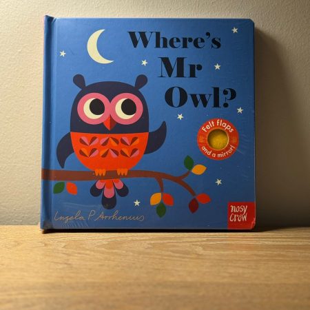 Nosy Crow - Ingela P Arrhenius’s Book “Where’s Mr Owl?”