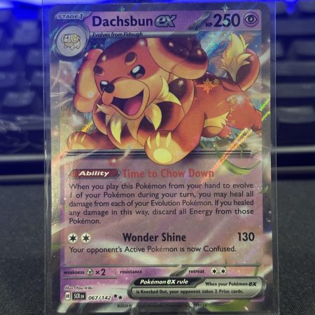 Dachsbun EX