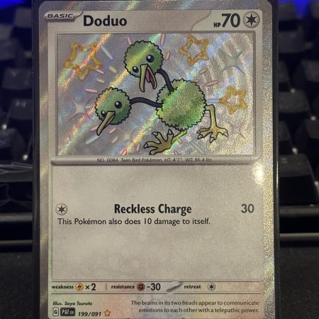 Doduo Shiny