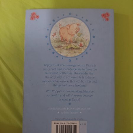 Rocket money princess by janey jones