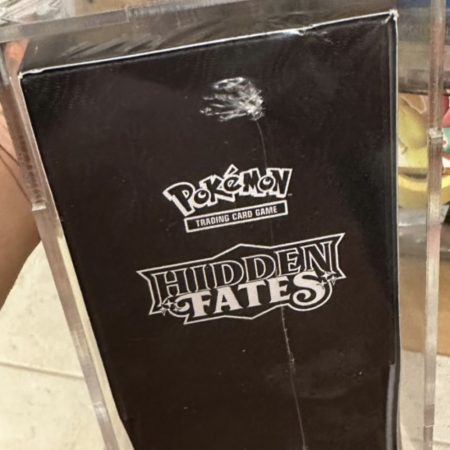 Hidden Fates ETB with " ETB Protector"