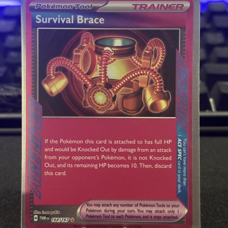Survival Brace ACE Spec