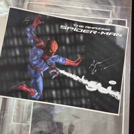 The amazing spider man art signed