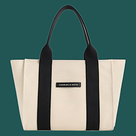 Charles and keith bag
