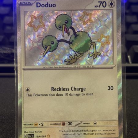 Doduo Shiny